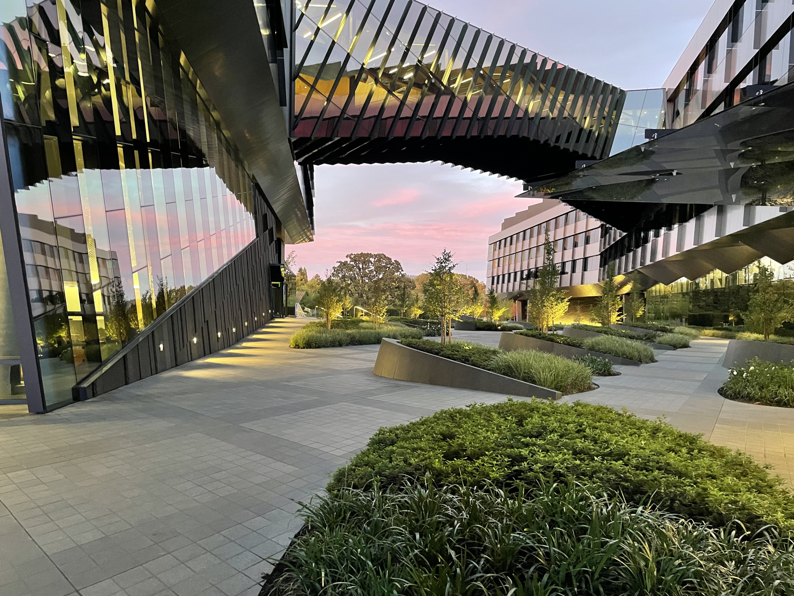 Nike Serena Williams | Image 1/9