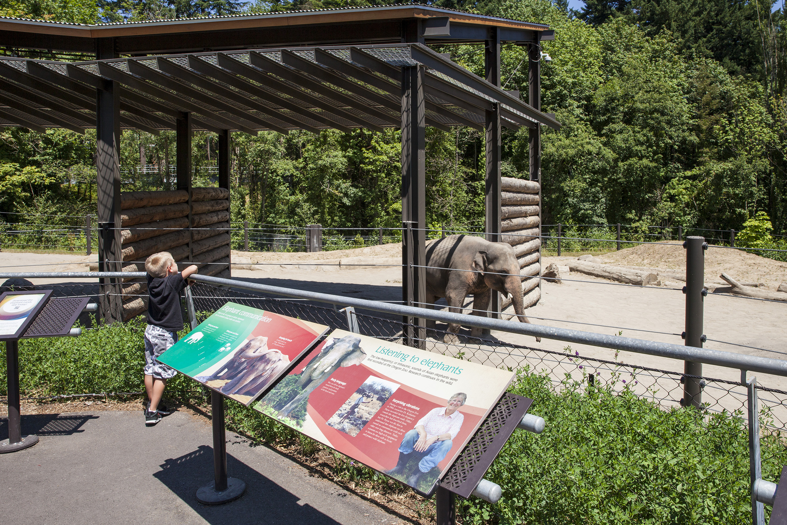 Oregon Zoo Elephant Lands | Image 14/21