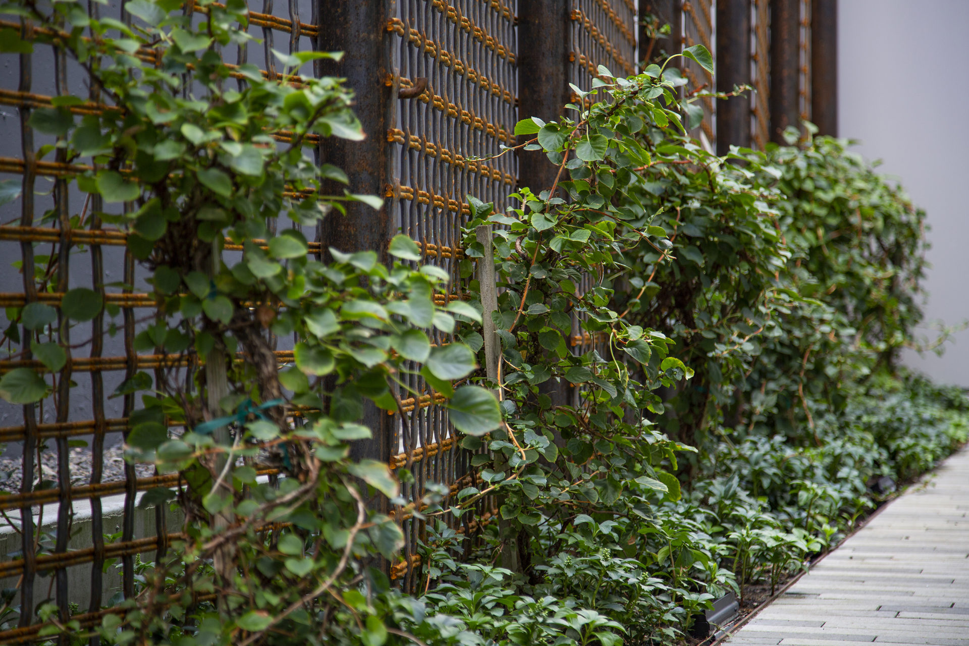 Louisa Flowers PLACE