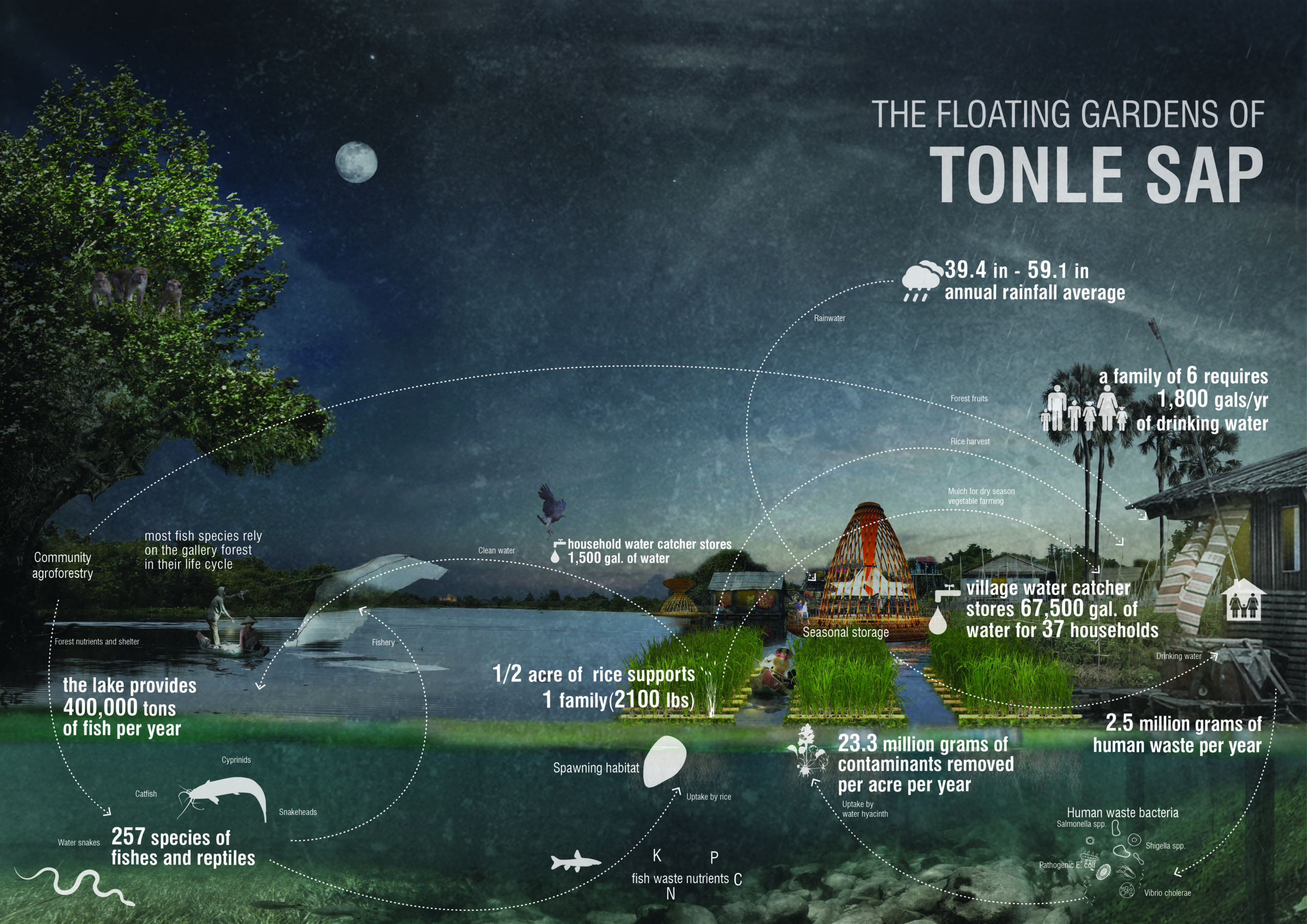 Floating Gardens of Tonle Sap Lake | Image 1/9