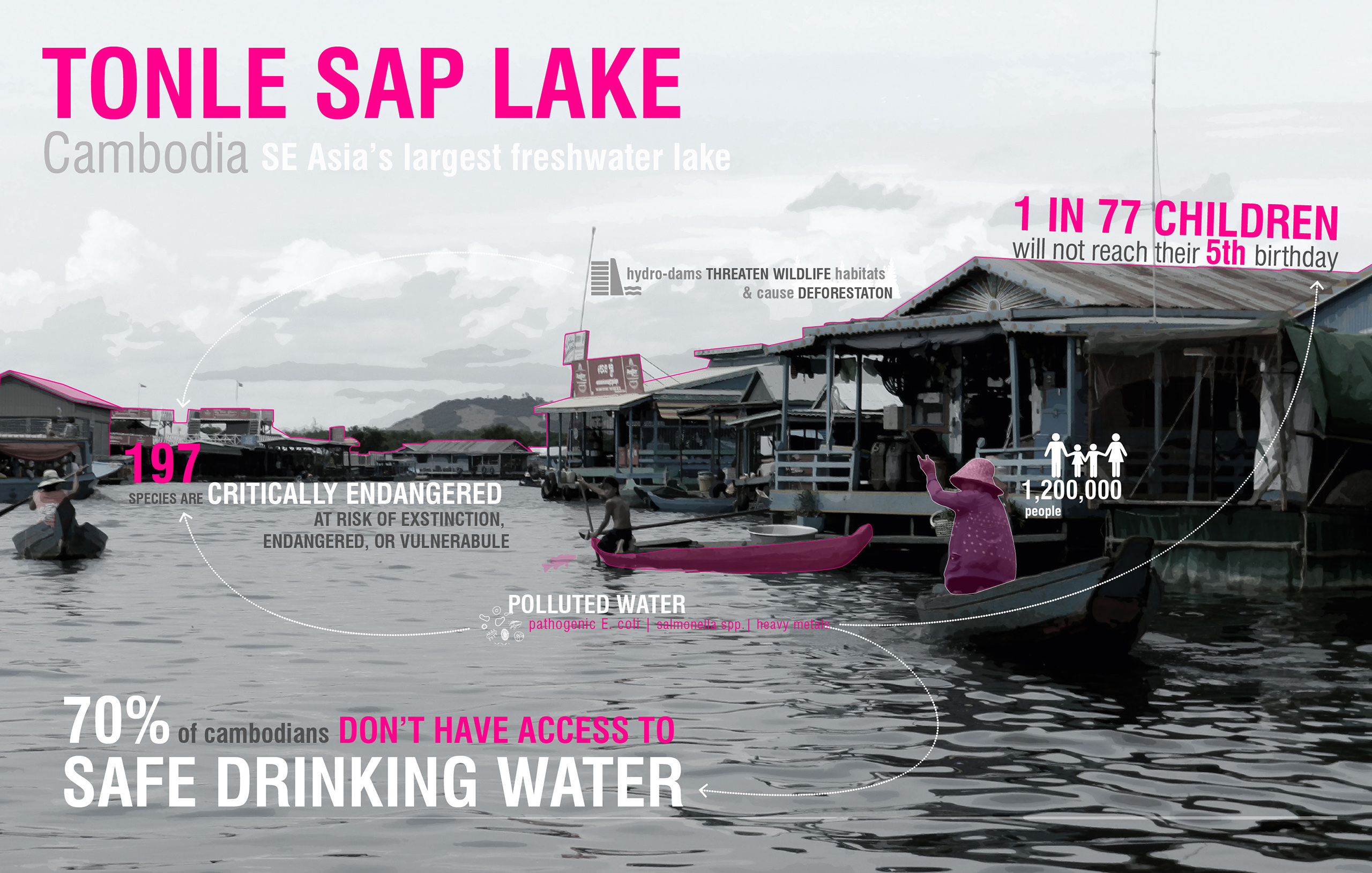 Floating Gardens of Tonle Sap Lake | Image 2/9