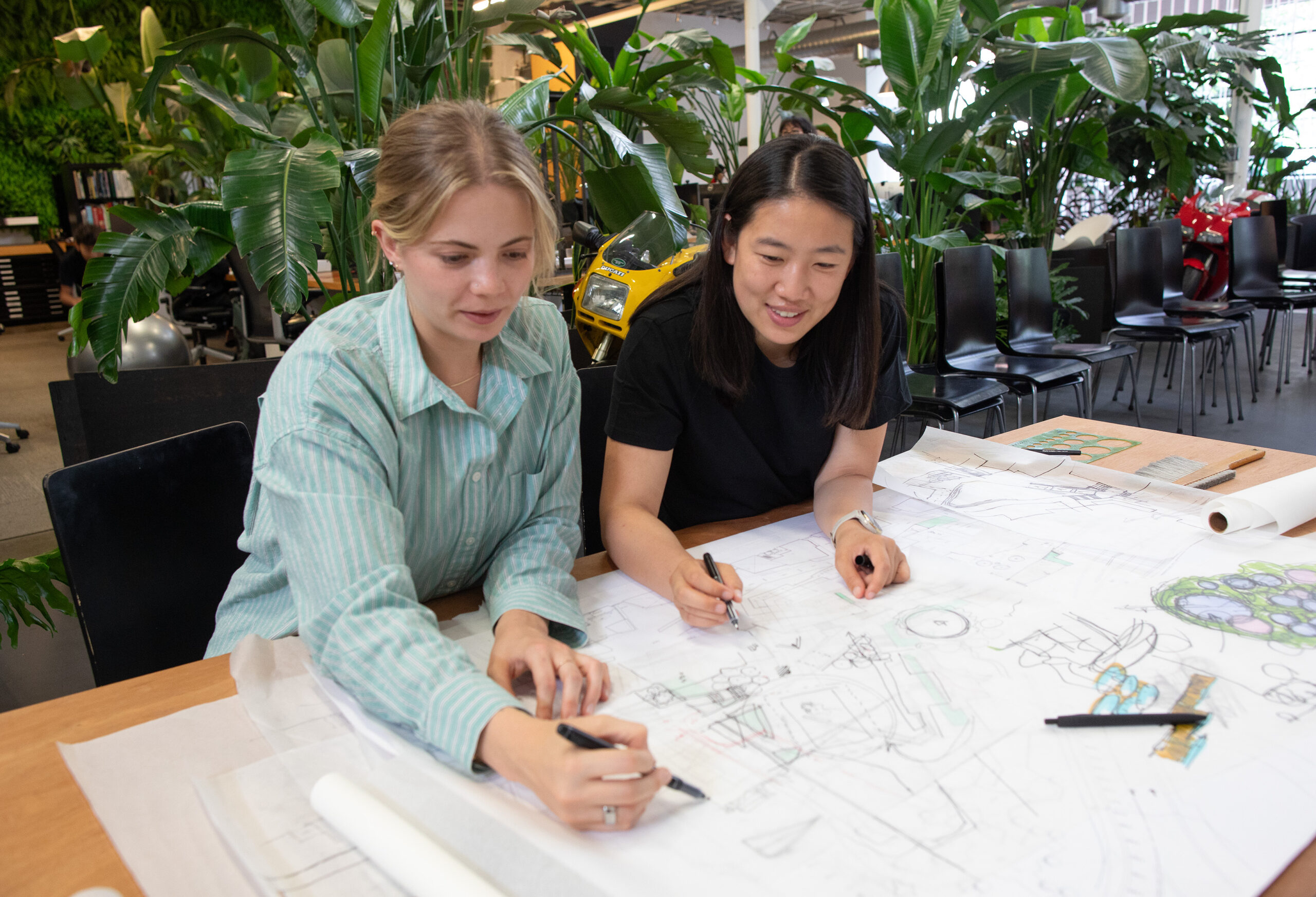 SARA GONG    | Image 1/2