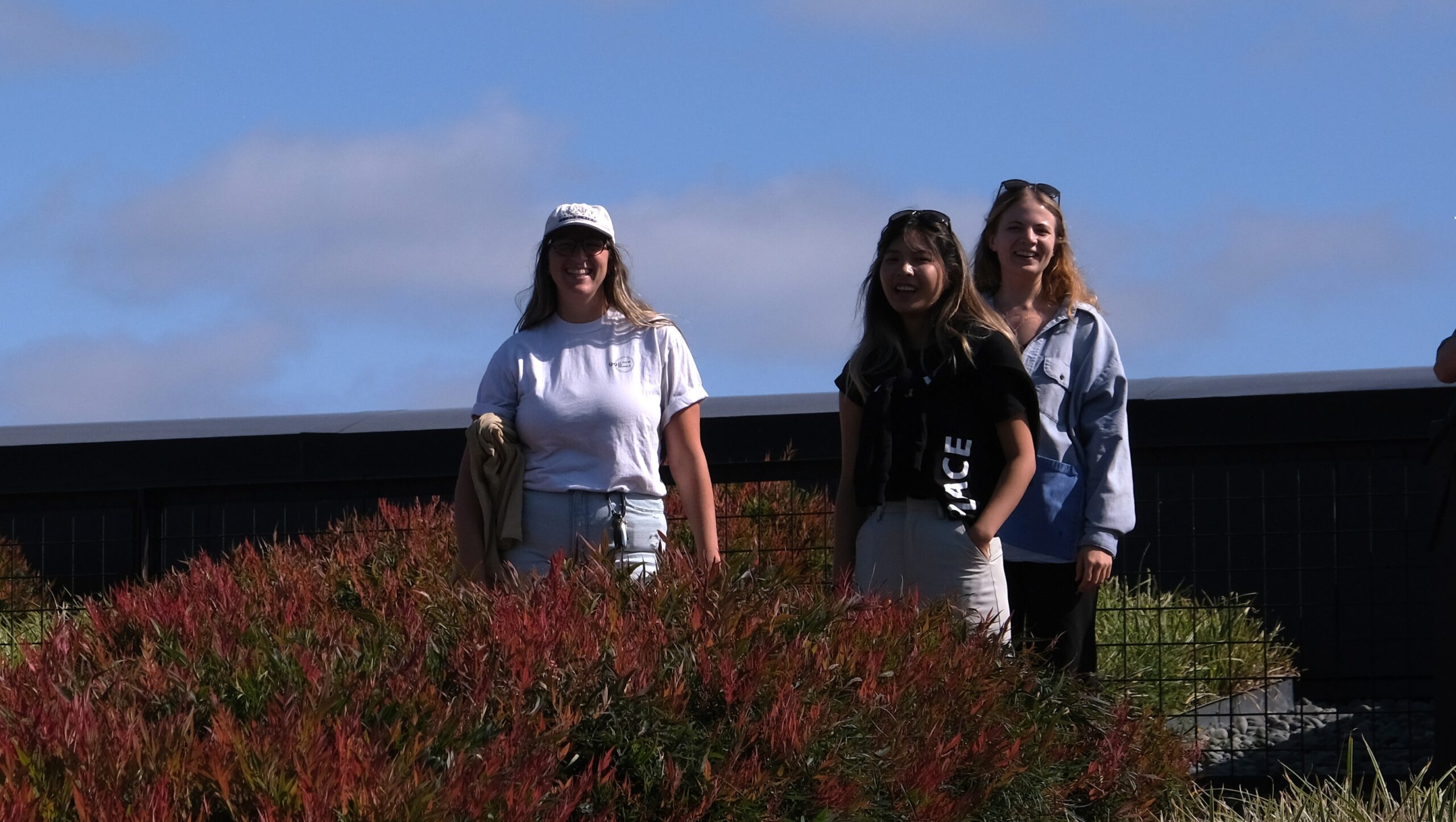 MAHO KAWAI    | Image 2/2