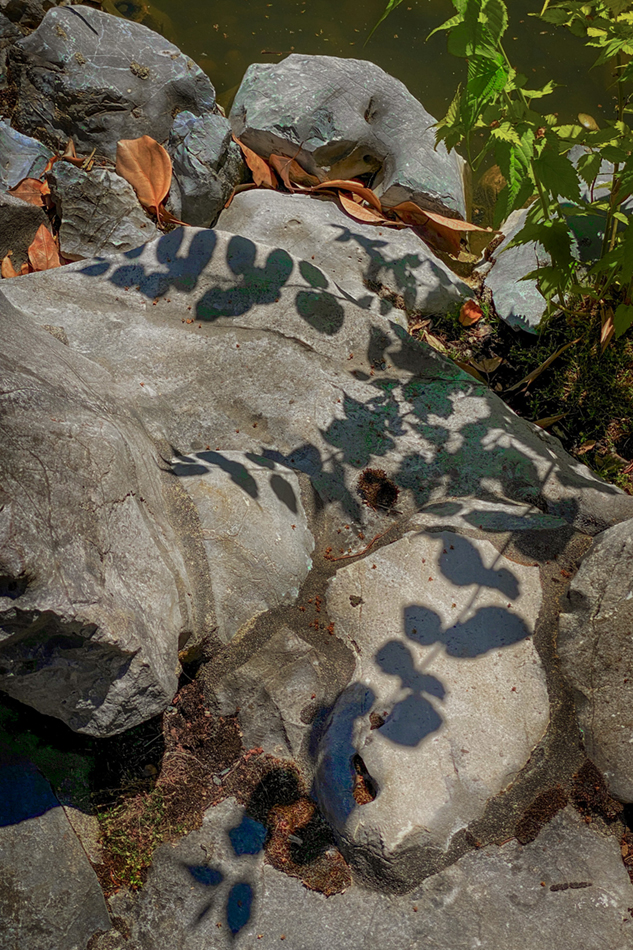 SEASONS: Lan Su Garden | Carol Isaak | Image 3/4