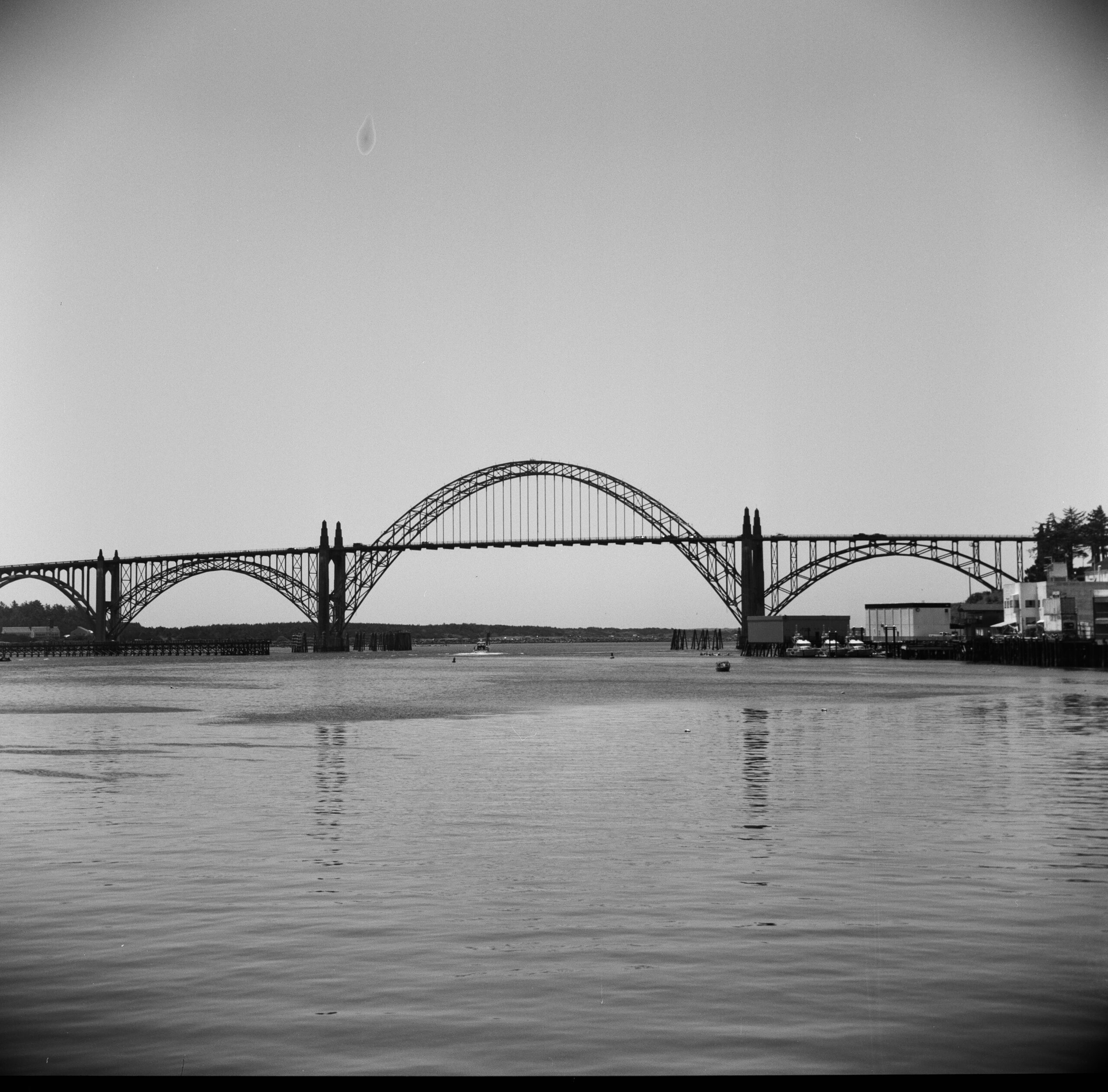 Phreshly Obsolete | L.S. Douglas | Image 5/5