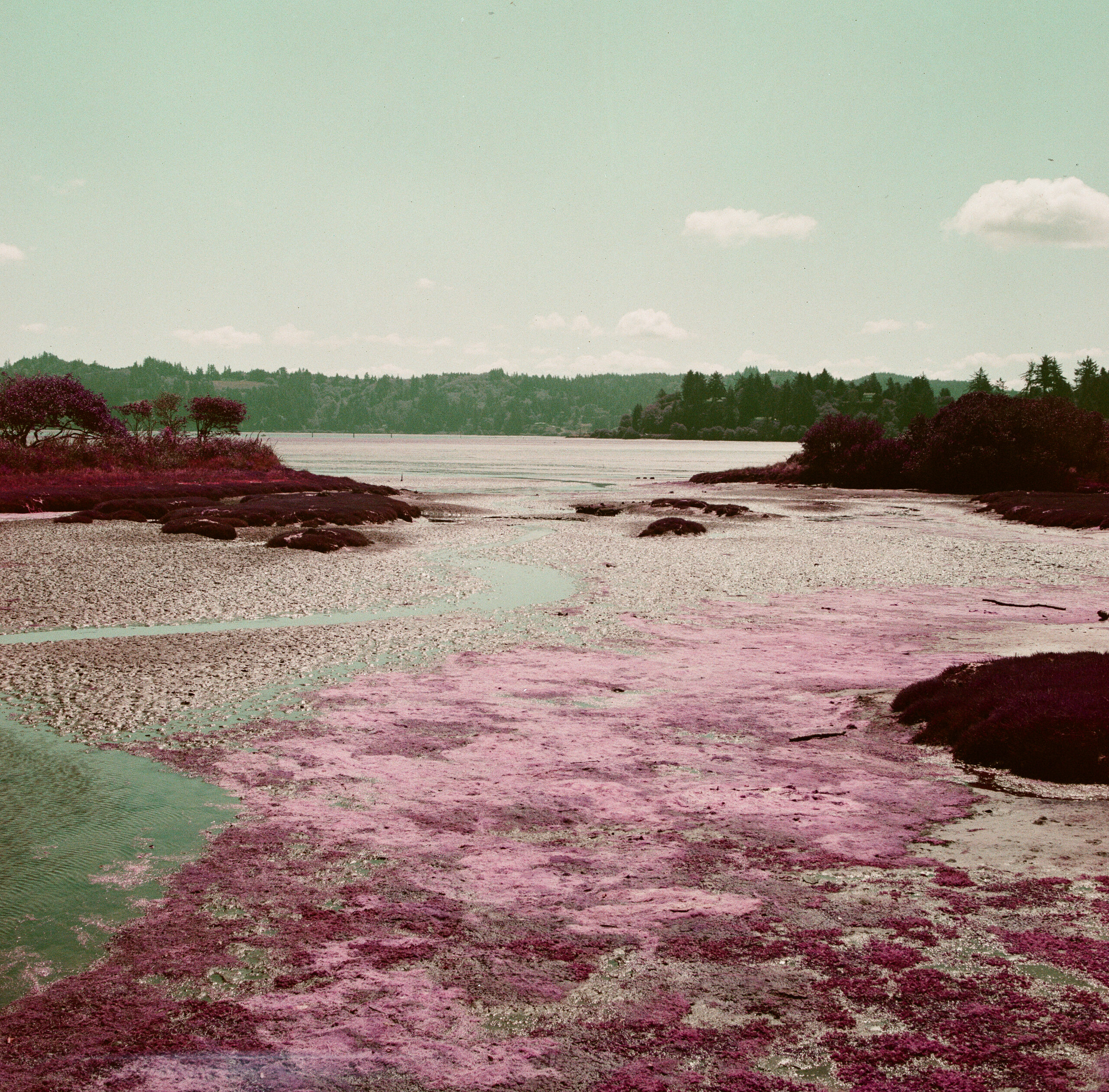 Phreshly Obsolete | L.S. Douglas | Image 2/5