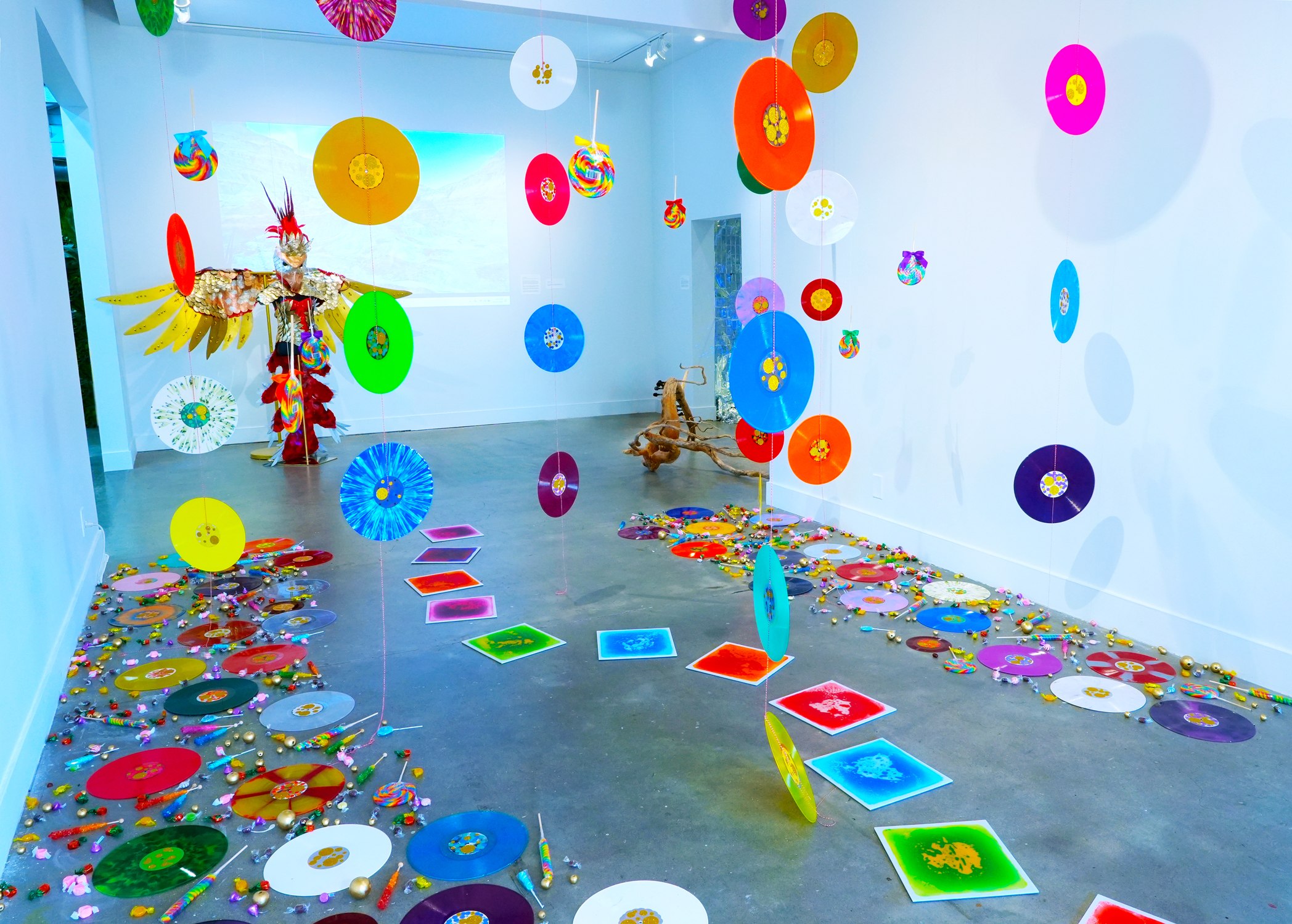 Echolocations | Jennifer Wright | Image 4/5