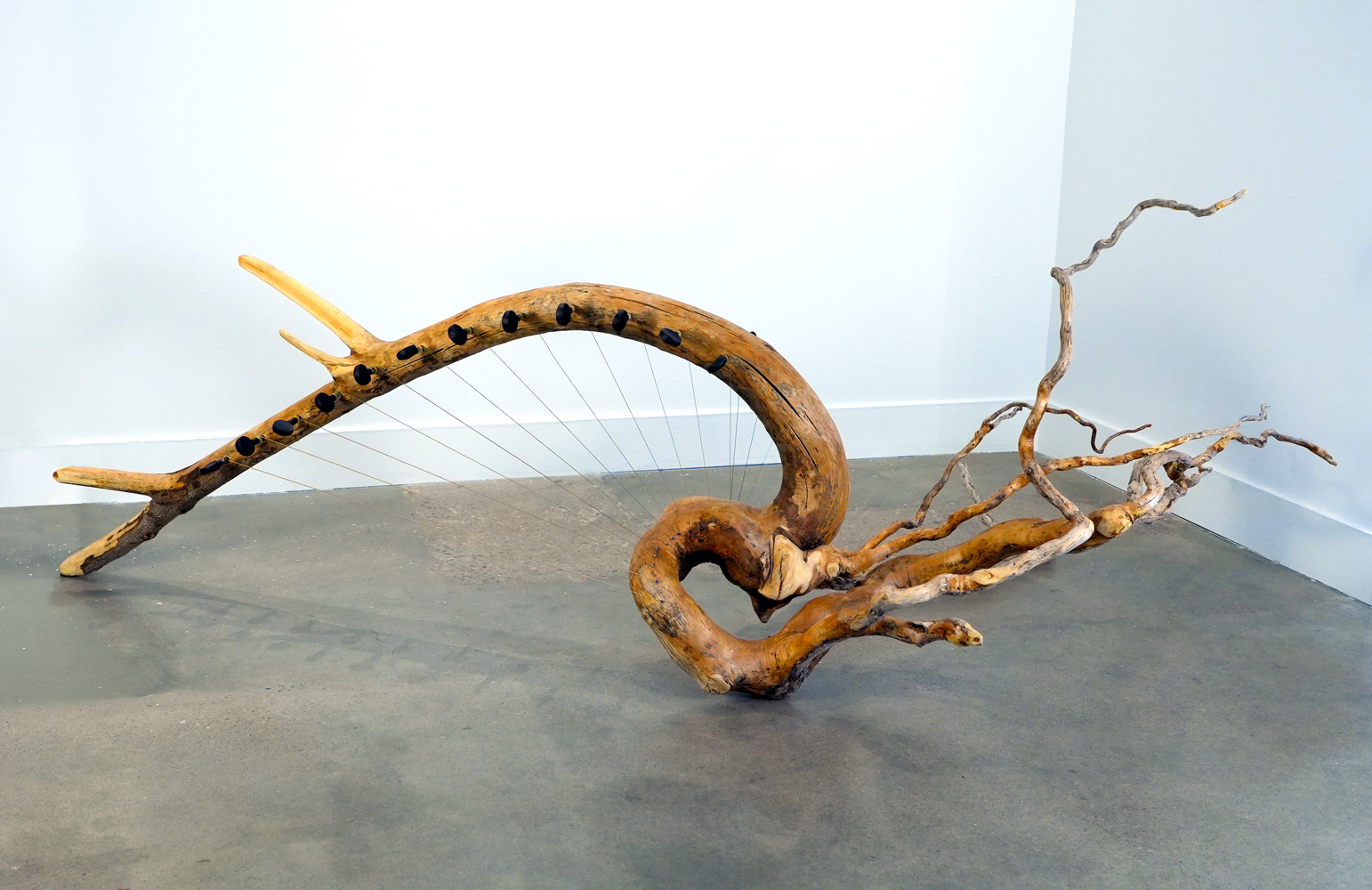 Echolocations | Jennifer Wright | Image 3/5