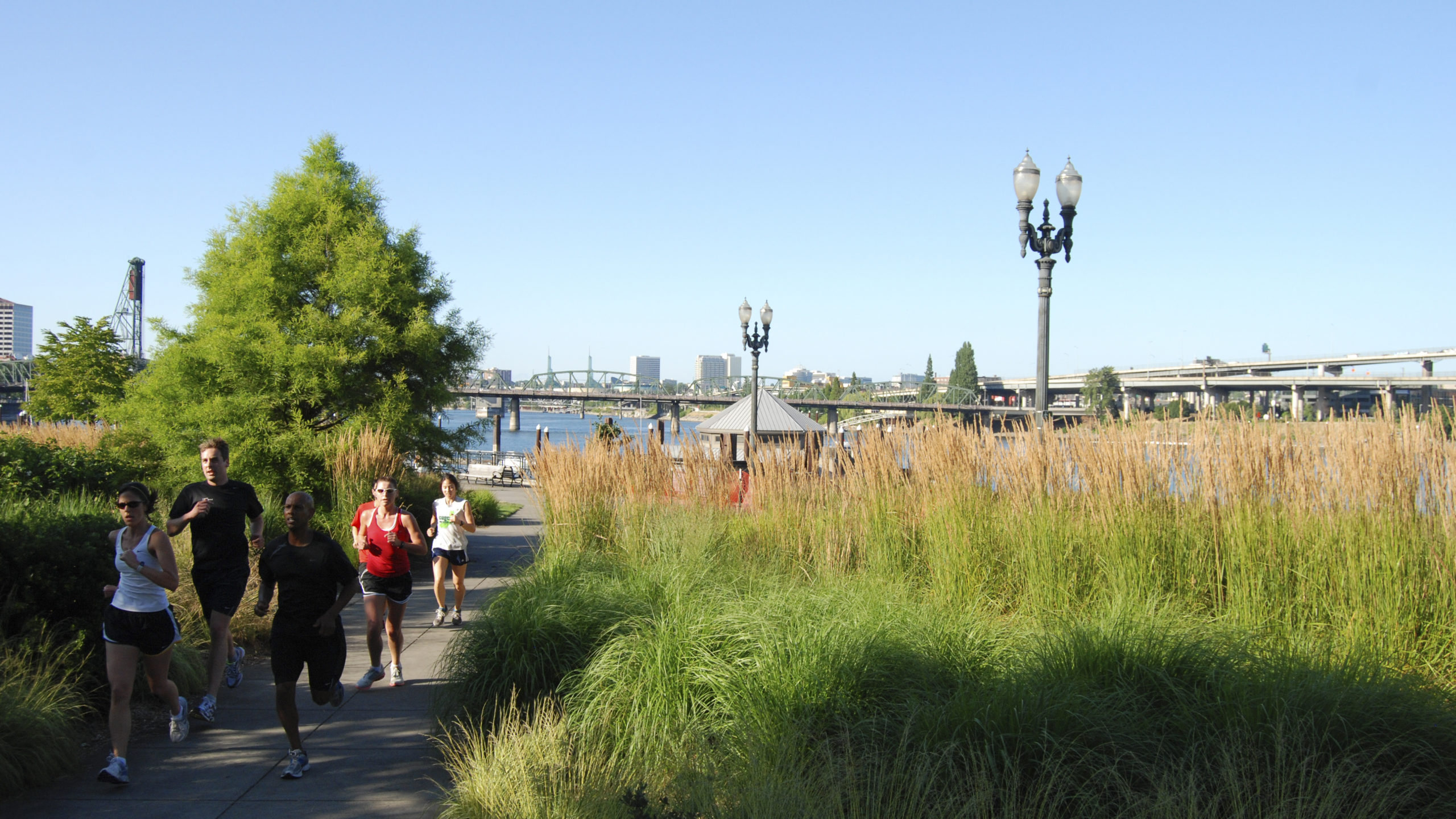 South Waterfront Park | Image 4/10
