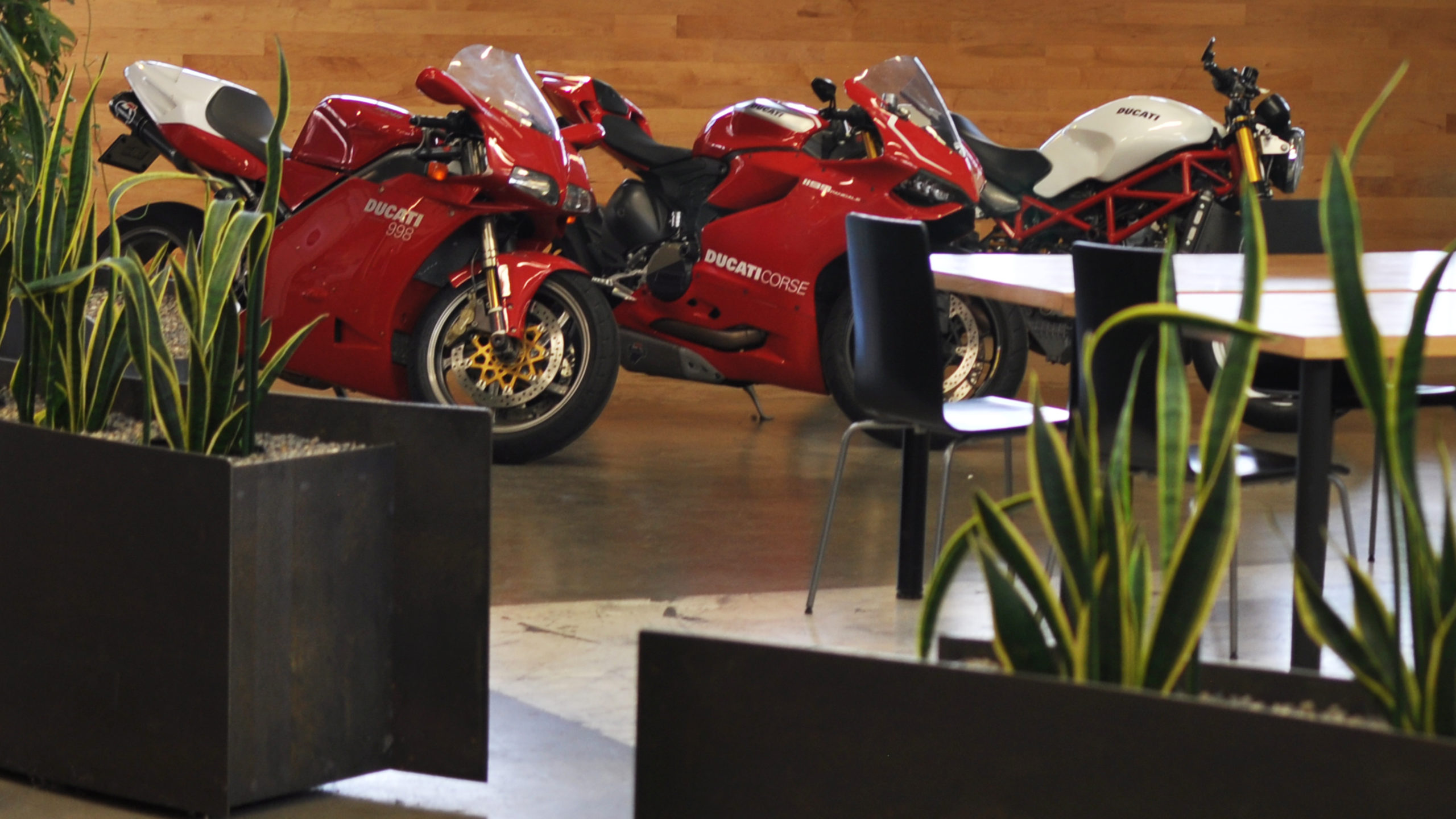 Ducatis I PLACE | Image 6/11