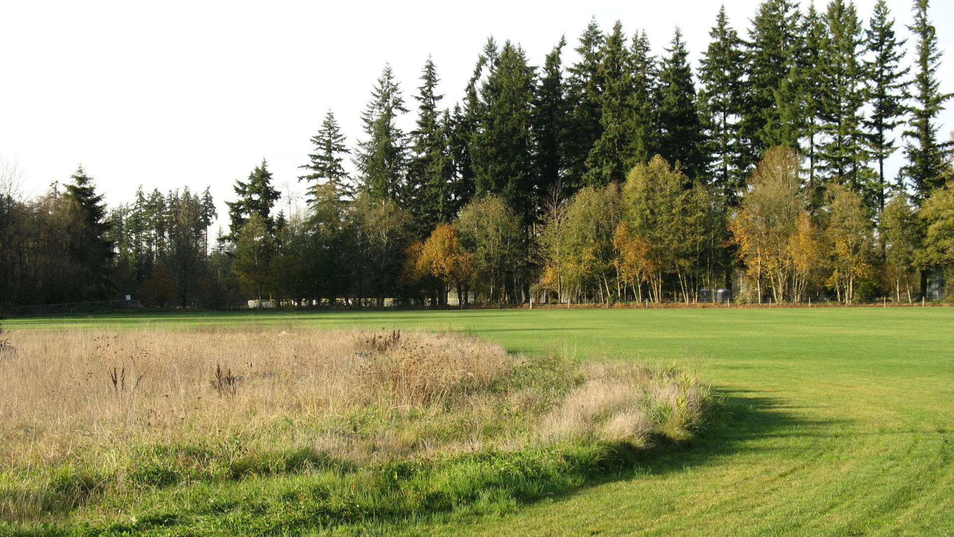 Hockinson Meadows Community Park PLACE